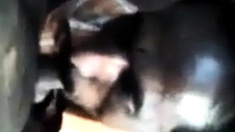 Indian Grandpa sucking