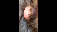 Mature Man Rubbing his Small Hairy Chubby Cock