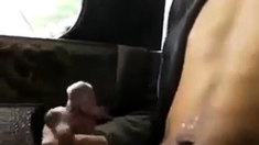 Boy's Hidden Wank in Public Bus