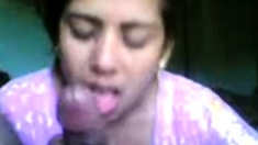 Bangladeshi Bhabi Sucking Fucking