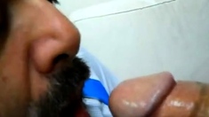 Amateur Bear Daddy Sucking Cock