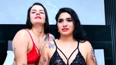 Amateur busty shemale fucking ass of tranny