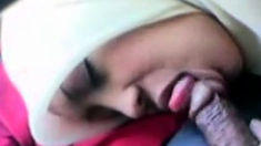 Malaysian Babe Gives Road Head