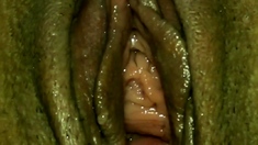 Amateur close up sucking fucking video