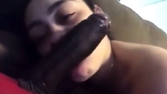 Let It Flow VII BIG toy edition Black and Ebony