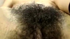 Hairy Bush teen .