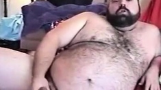 Hairy Chubby Bear Jo1